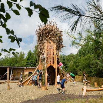 Play area with giant tree climbing tower